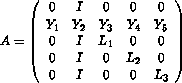 A=matrix((0,I,0,0,0), (Y_1,Y_2,Y_3,Y_4,Y_5),(0,I,L_1,0,0),(0,I,0,L_2,0),(0,I,0,0,L_3))