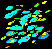 Image1