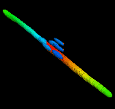 Image2