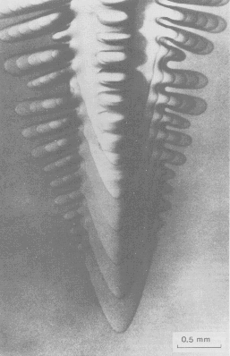 effect of dendrite structure