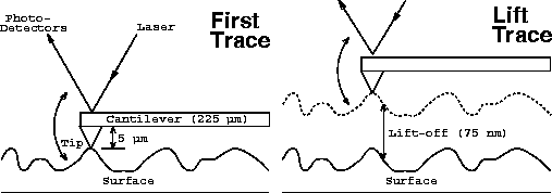 MFM operation schematic