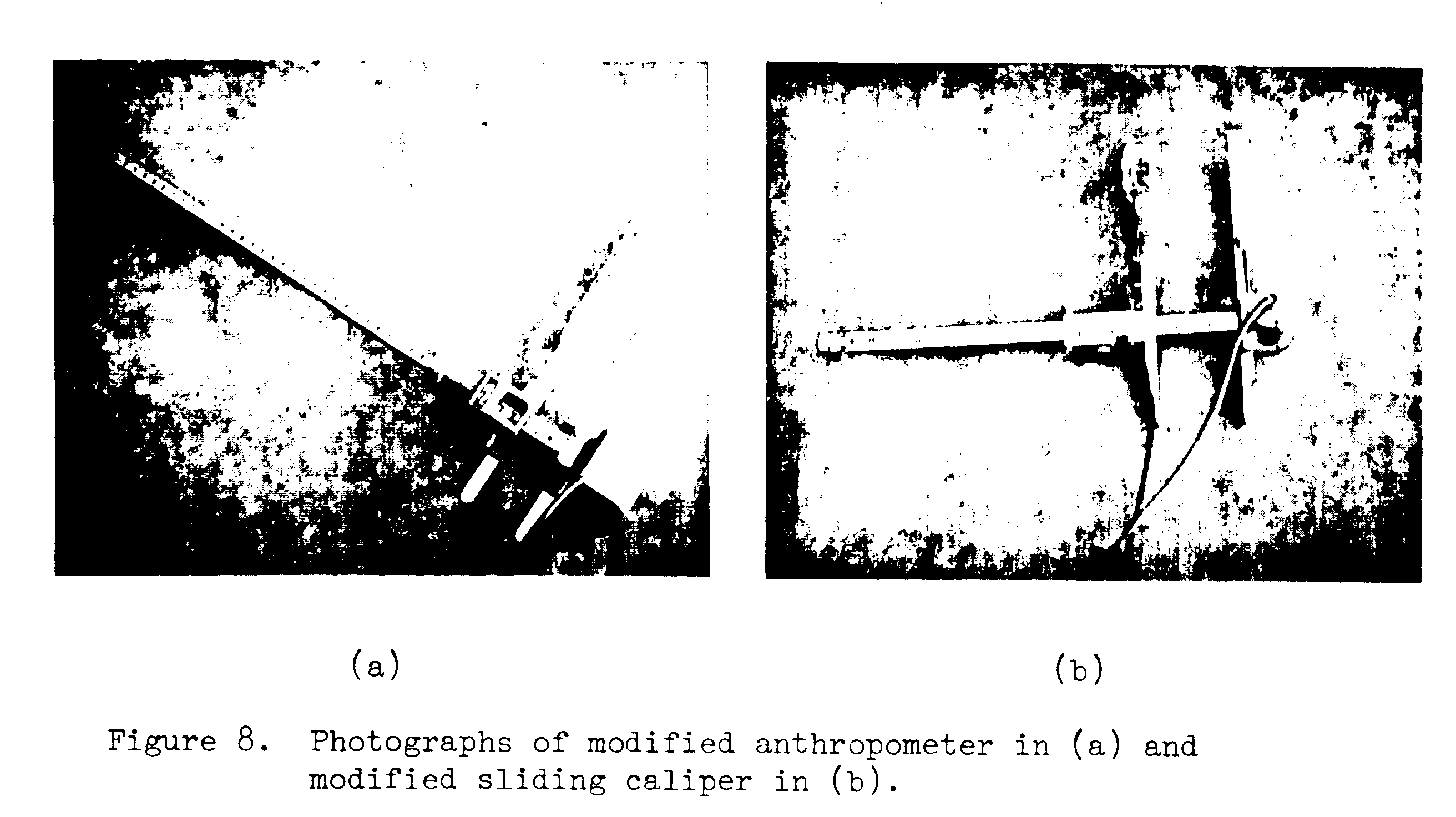 Physical Characteristics of Children