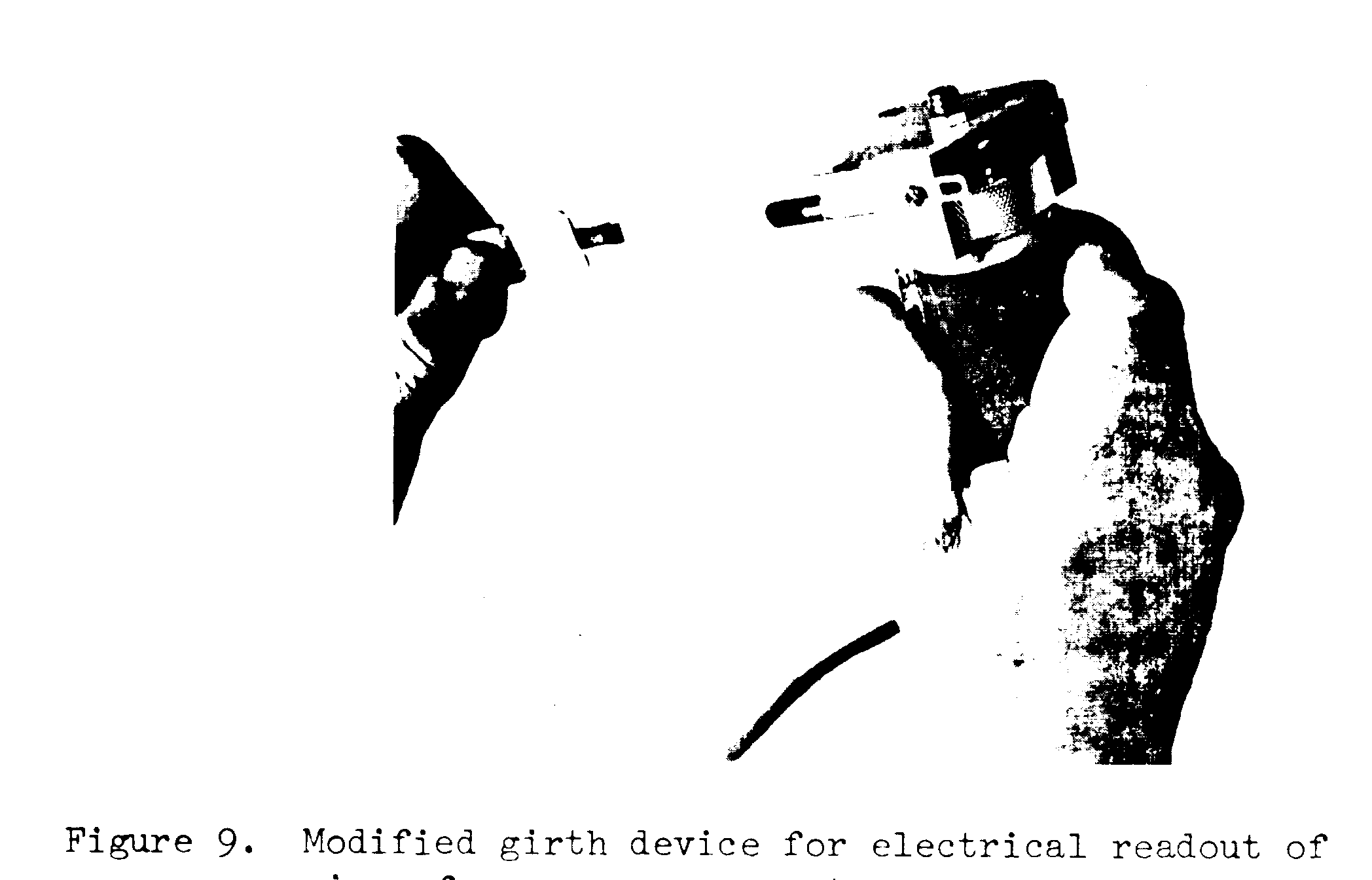 Physical Characteristics of Children